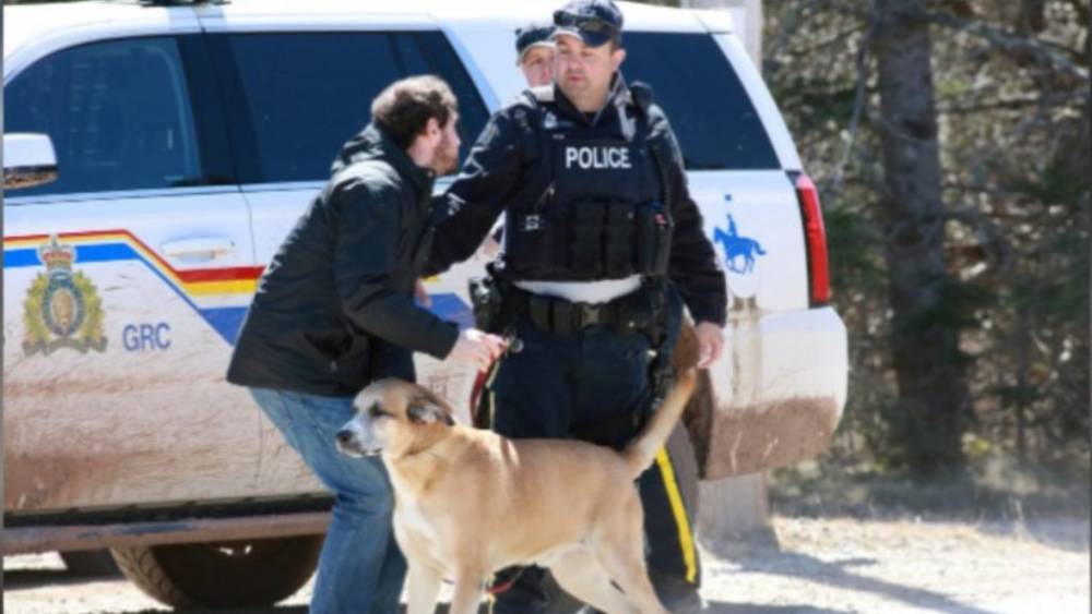 Канадский стрелок убил по меньшей мере 17 человек