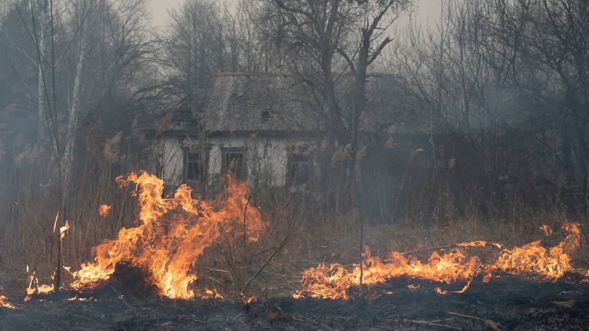 Сильный ветер мешает ликвидации пожара в чернобыльской зоне