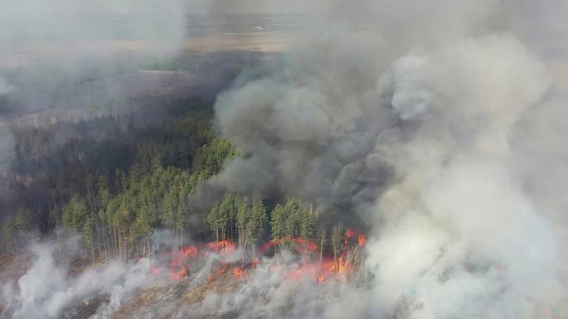 На Украине пресекают распространение пожара из зоны ЧАЭС в Белоруссию