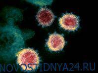 Неприятное открытие: вирусологам стало больше известно о коронавирусе