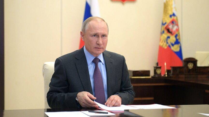 Путин отметил успехи в замедлении распространения коронавируса в РФ