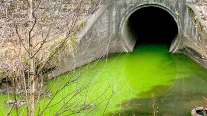 Воды Лиговского канала сменили цвет на едко-зеленый