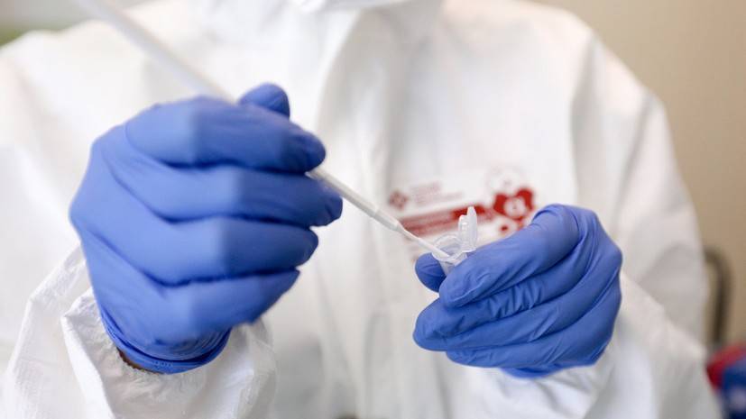 В России выпустят десять тысяч тест-систем на коронавирус для питомцев