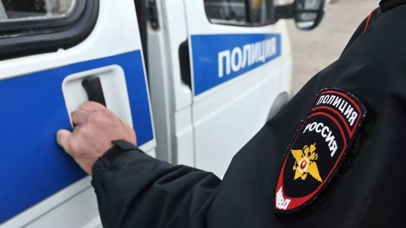 В Москве организовали проверку после применения силы полицейским к нарушителю самоизоляции