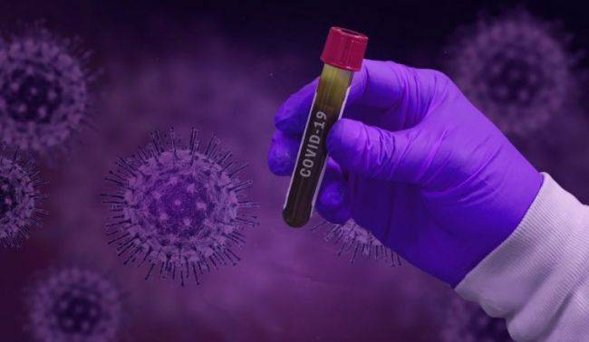 Обнаружена первая мутация Covid-19: вирус становится менее патогенным