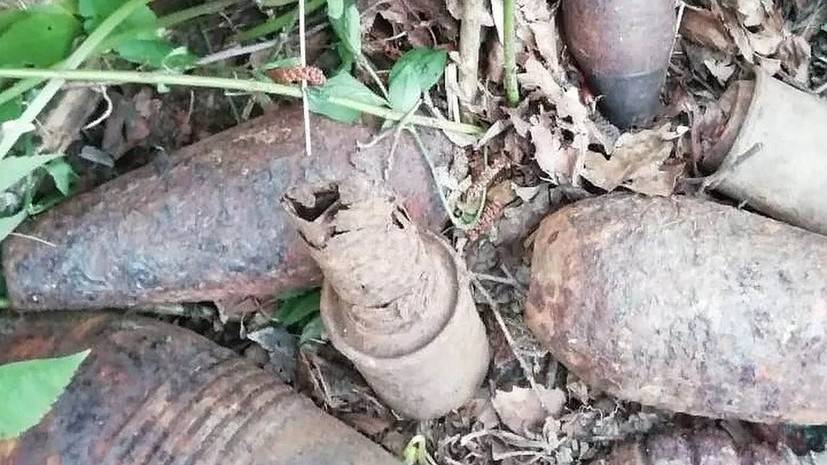 В Краснодарском крае обезвредили 17 боеприпасов времён войны