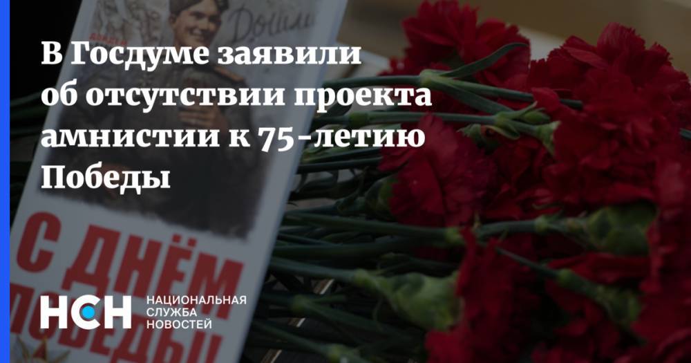 В Госдуме заявили об отсутствии проекта амнистии к 75-летию Победы