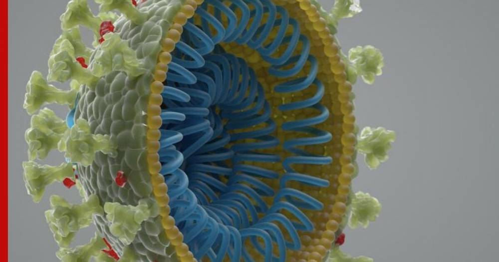 Ученые из Китая обнаружили агрессивные штаммы коронавируса