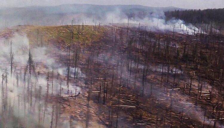 Новосибирск заволокло дымкой от лесных пожаров