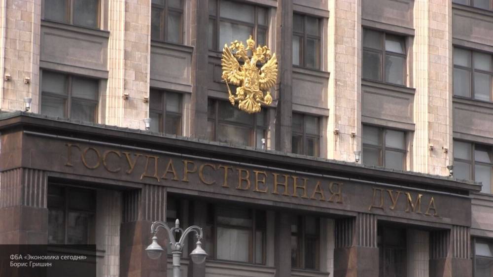 Крашенинников подтвердил отсутствие проекта об амнистии к 9 Мая