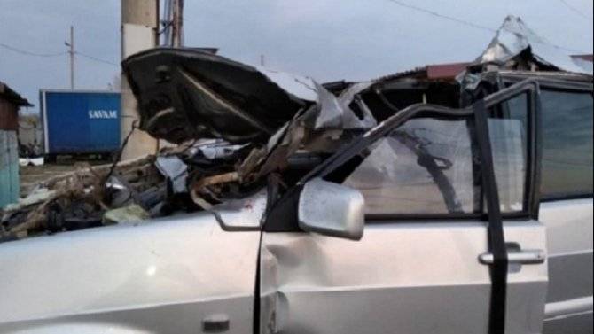В ДТП с лошадью в Волгоградской области погиб водитель