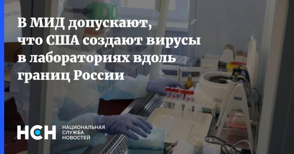 В МИД допускают, что США создают вирусы в лабораториях вдоль границ России