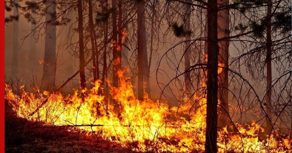 В МЧС назвали основную причину пожаров в России