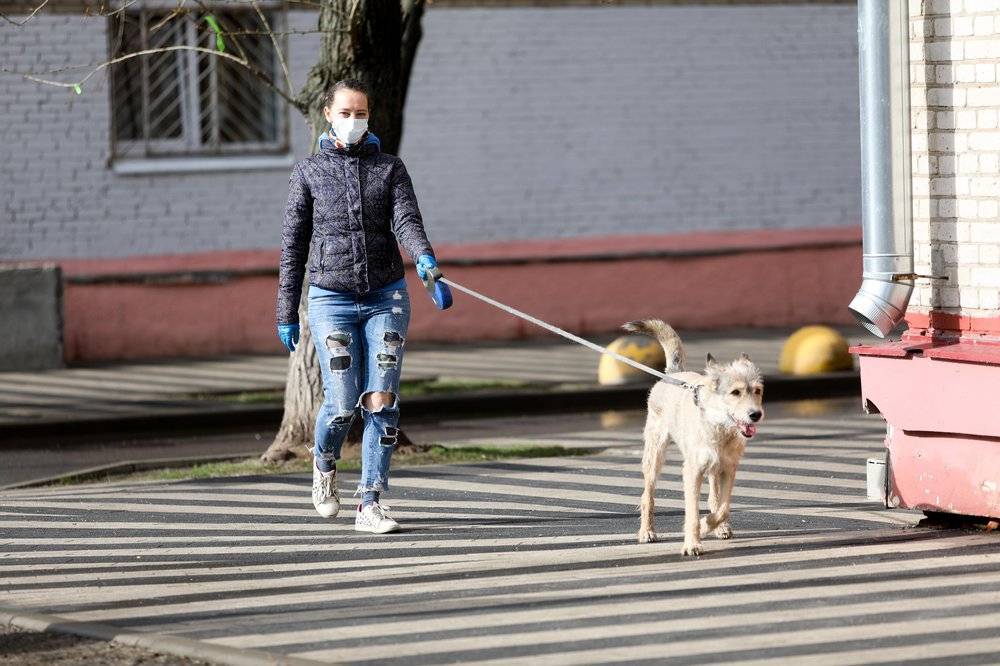 Домочадцам больных COVID-19 разрешили гулять с собаками