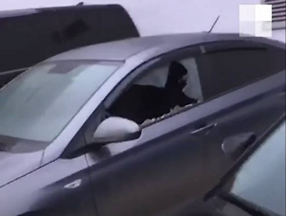 В Екатеринбурге на парковке у дома неизвестные выбили стекла у девяти автомобилей