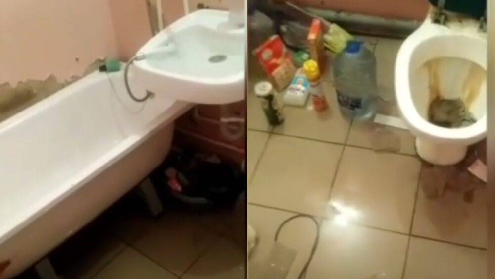 Жестоко избитого ребенка нашли в затопленной квартире в Новороссийске