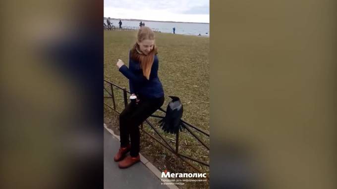 Видео: на улице Маршала Казакова ворона заигрывала с девушкой