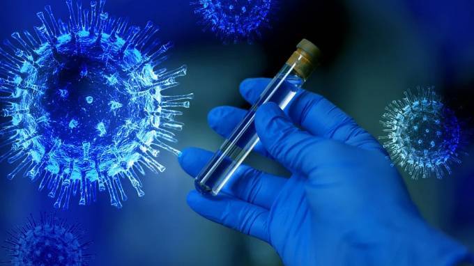 Петербургские учёные исследуют возможность заблокировать коронавирус