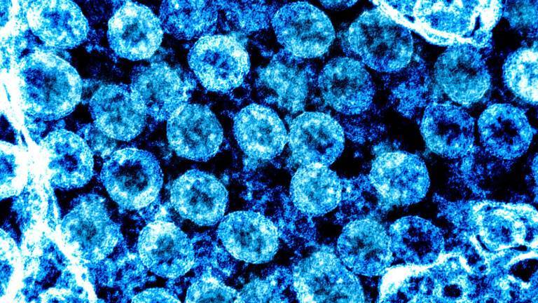 Обнаружен новый симптом коронавируса, который проявляется у детей