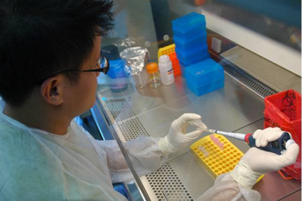 Китайские ученые успешно испытали вакцину от COVID-19 на обезьянах