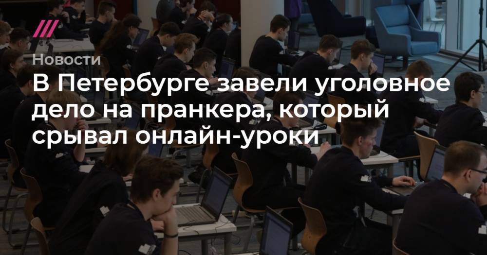 В Петербурге завели уголовное дело на пранкера, который срывал онлайн-уроки