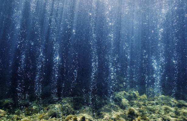 Ученые показали, как углекислый газ может менять морские экосистемы