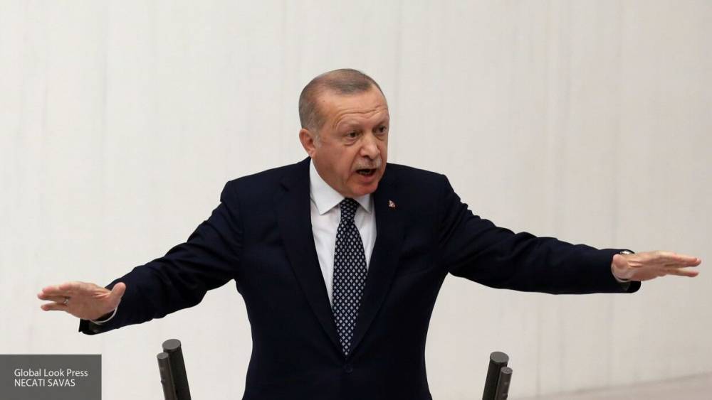 Дудчак: Эрдоган не афиширует действия турецкой ЧВК SADAT в Ливии