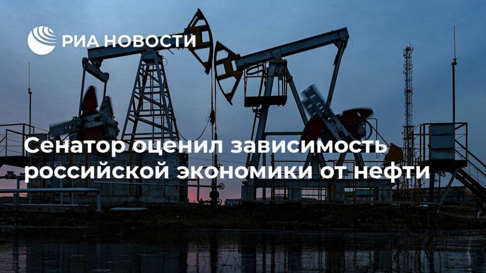 Сенатор оценил зависимость российской экономики от нефти