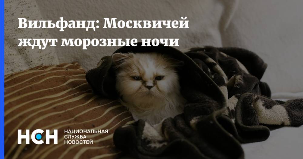 Вильфанд: Москвичей ждут морозные ночи