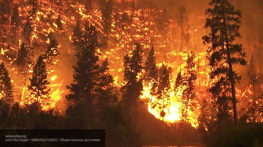 Лесной пожар охватил более 700 га тайги в Забайкальском крае