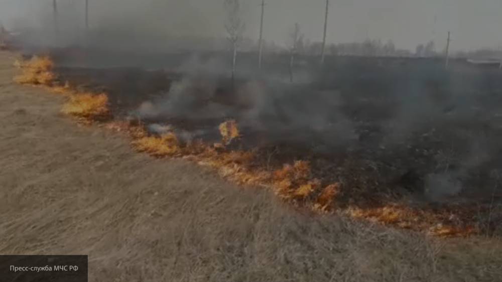 Цасучейский бор горит в Забайкальском крае
