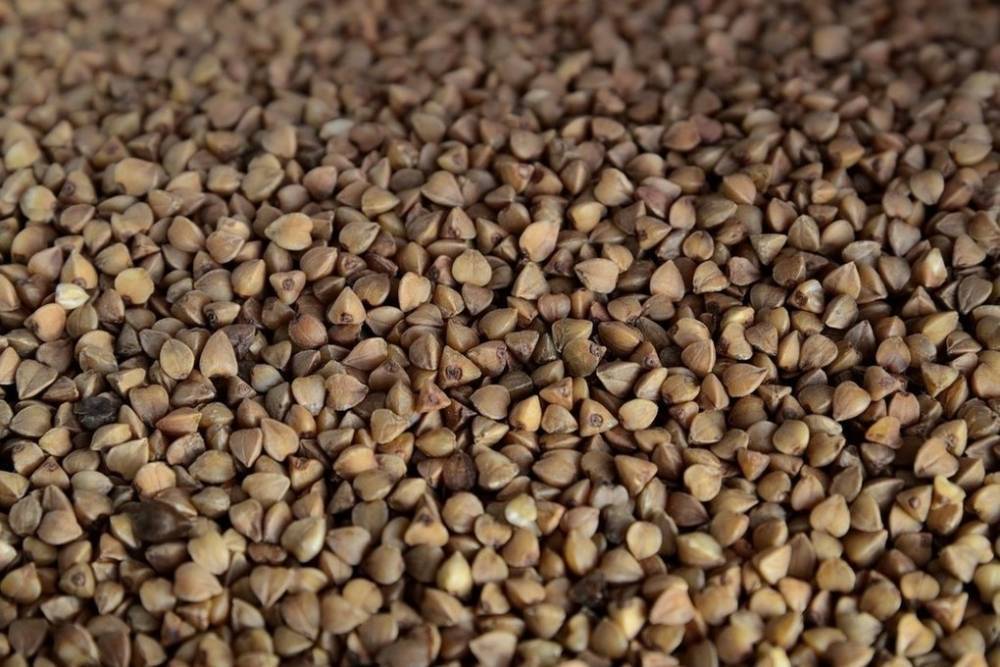 Россия пообещала Белоруссии 9 тысяч тонн гречки и риса
