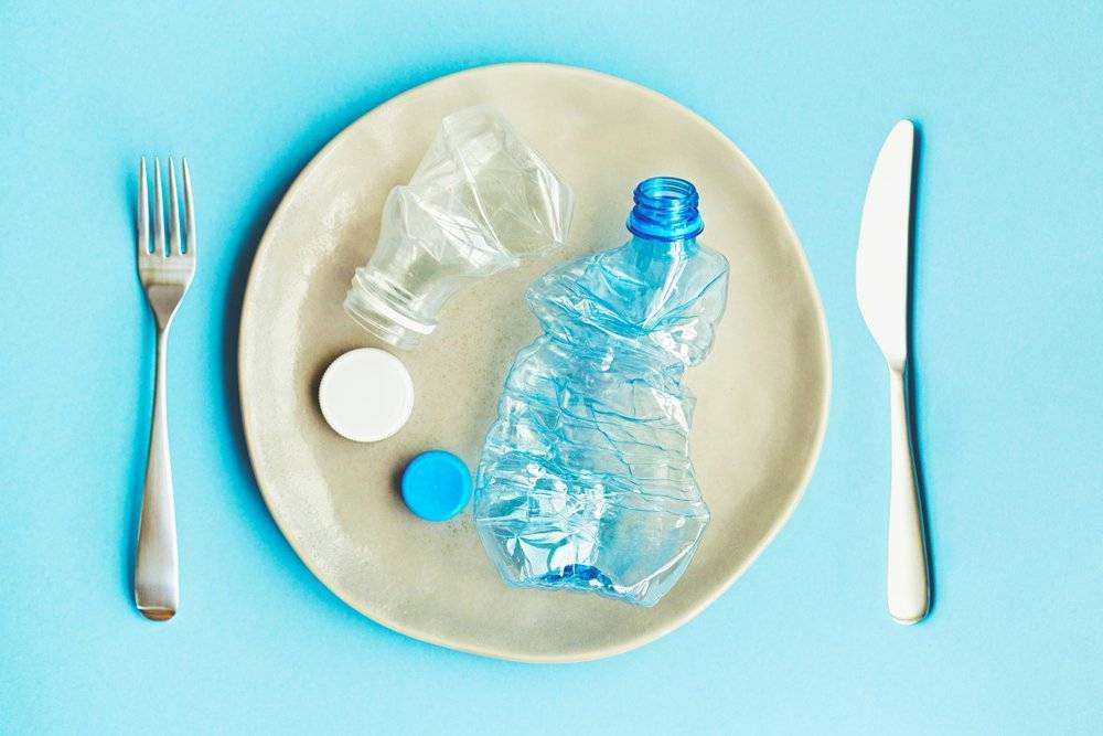 Немецкие ученые нашли бактерию, которая ест пластик: чем она полезна