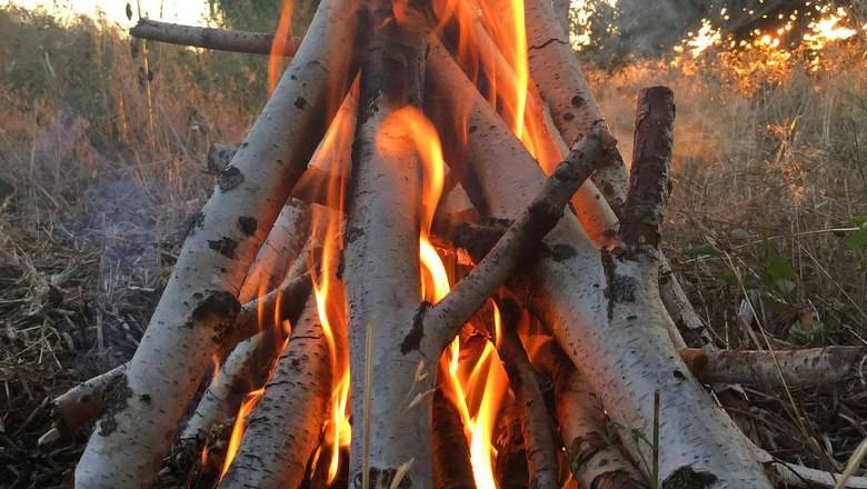 Тюменцам рассказали о прогнозах лесных пожаров на ближайшую неделю