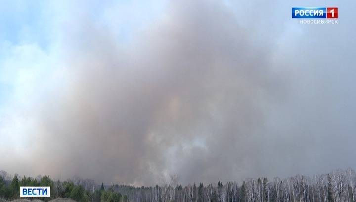 Неконтролируемые палы: в Новосибирской области 200 тысяч гектаров леса