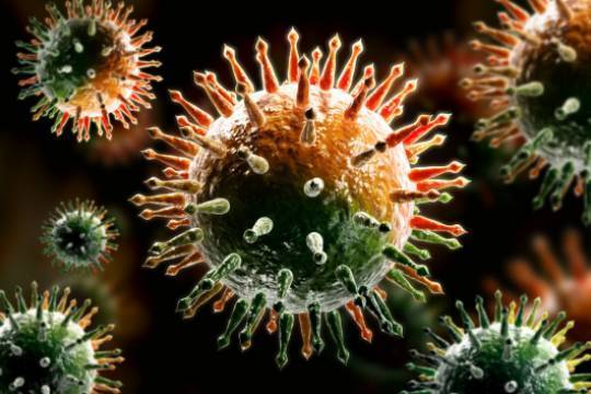 Иммунитет человека назвали неэффективным в отношении коронавируса