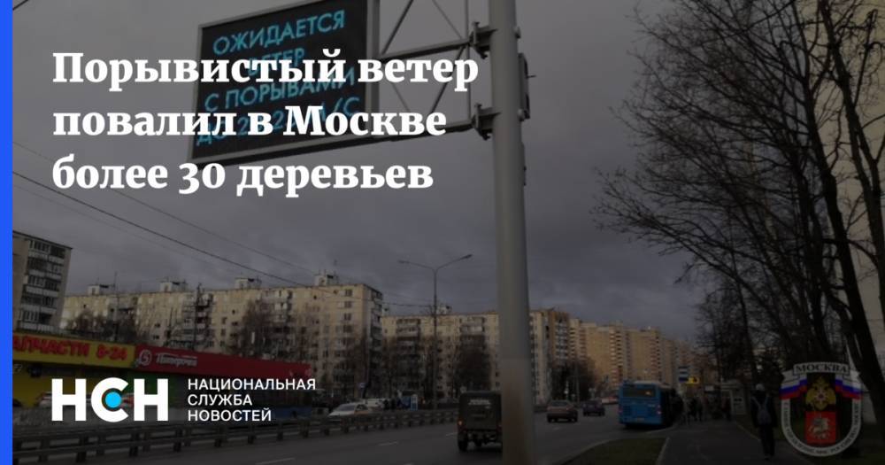 Порывистый ветер повалил в Москве более 30 деревьев