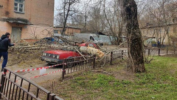 Ураганный ветер повалил более 30 деревьев в Москве