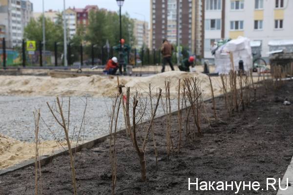 Работы по благоустройству территорий и городских дворов стартуют в Вологодской области в мае
