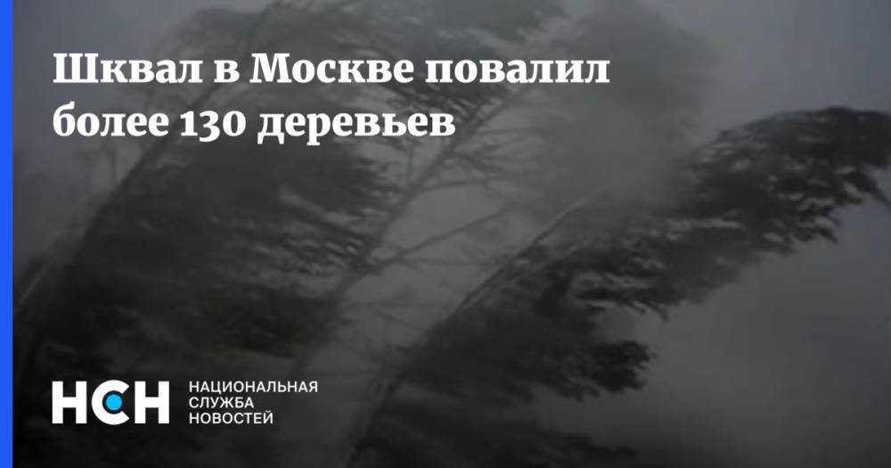 Шквал в Москве повалил более 130 деревьев