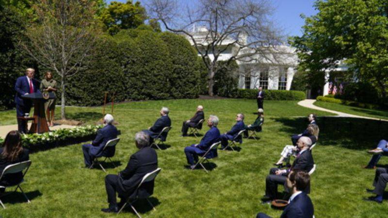 Трамп посадил дерево перед Белым домом в честь Дня Земли