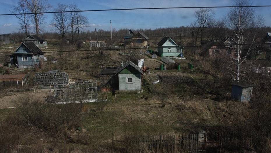 Жителям Вологодской области разрешили выезжать на дачи