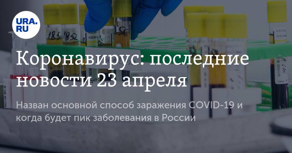 Коронавирус: последние новости 23 апреля. Назван основной способ заражения COVID-19 и когда будет пик заболевания в России