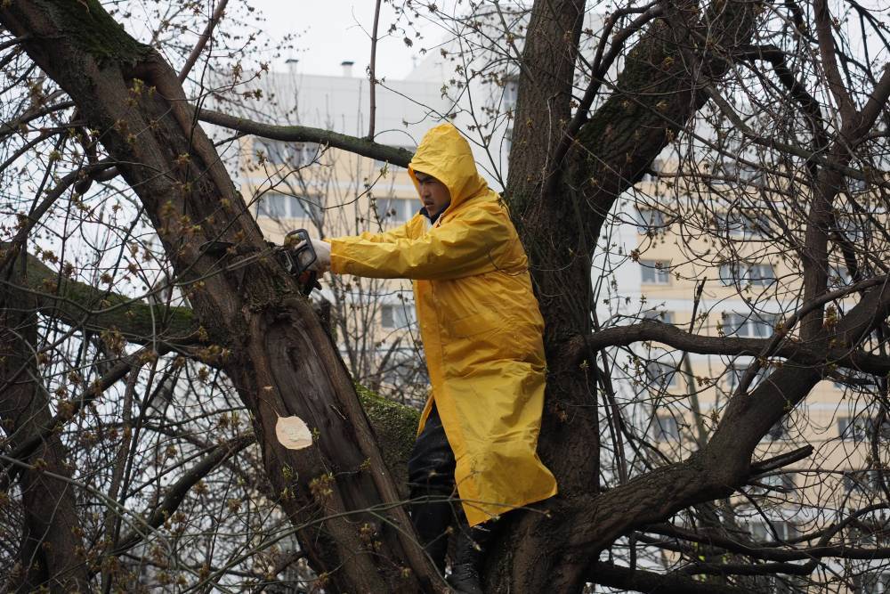 «Желтый» уровень погодной опасности в Москве продлили до вечера 23 апреля