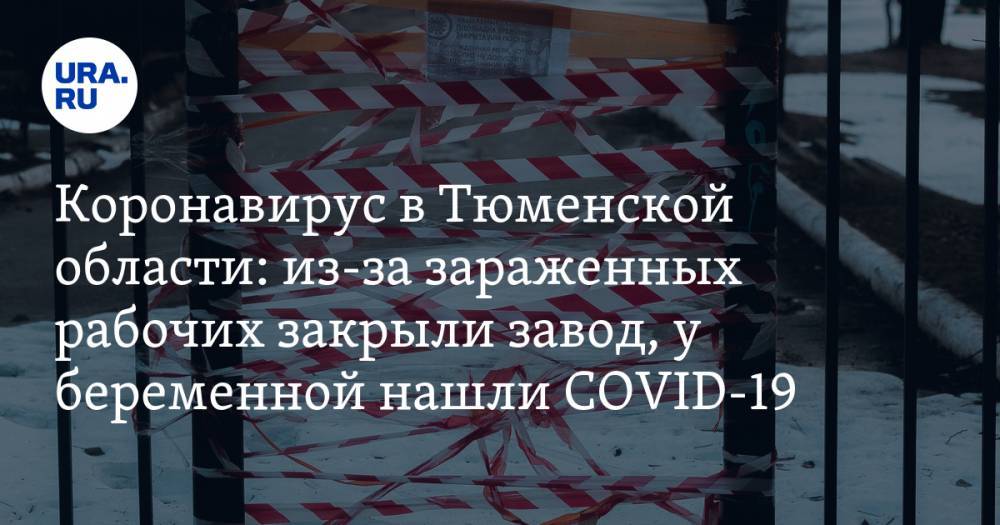 Коронавирус в Тюменской области: из-за зараженных рабочих закрыли завод, у беременной нашли COVID-19. Последние новости 23 апреля