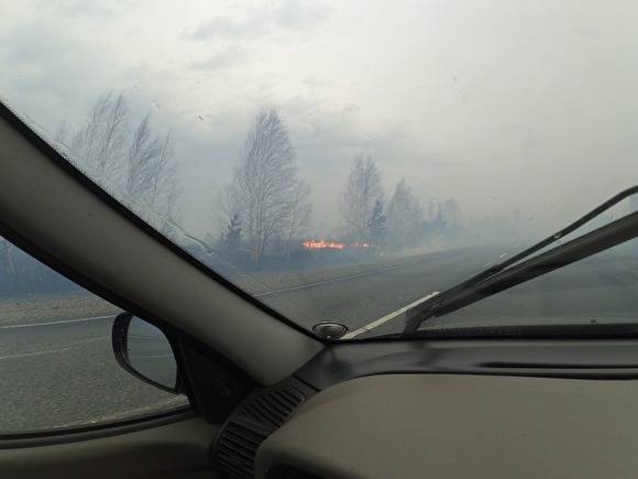 Власти Зауралья: вчерашний пожар около Иковки произошел из-за поджога