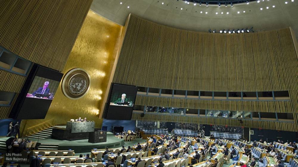 Украина помешала ООН принять резолюцию РФ против санкций