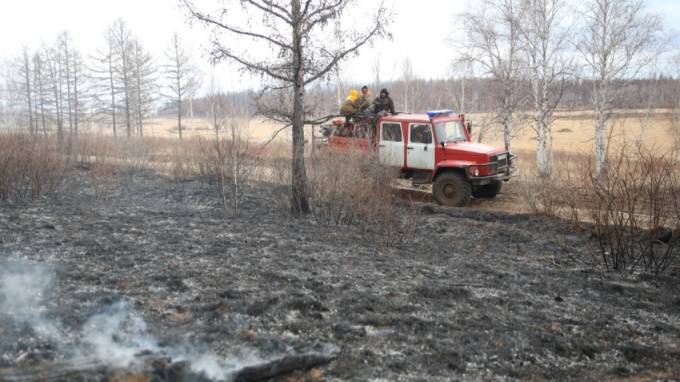 В Забайкальском крае локализовали лесной пожар на территории заказника "Цасучейсий бор"