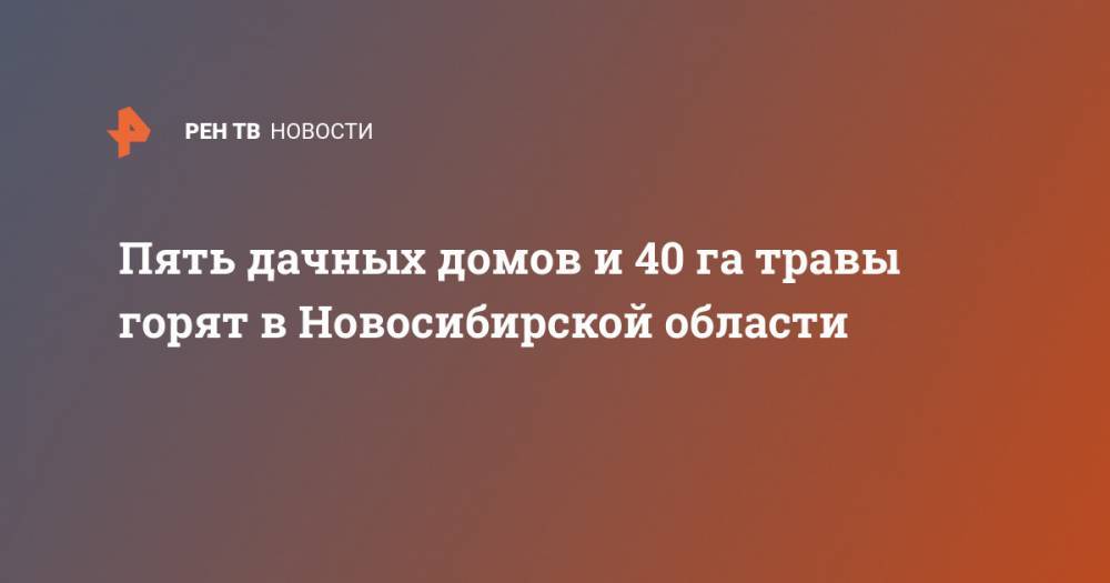 Пять дачных домов и 40 га травы горят в Новосибирской области