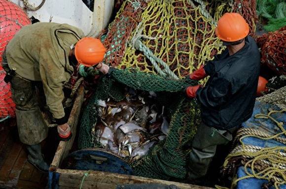 Рыбная компания сына экс-министра пропала из списка системообразующих — и вернулась в него